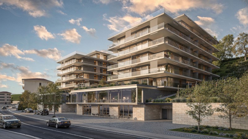 Le Coteau des Vignes